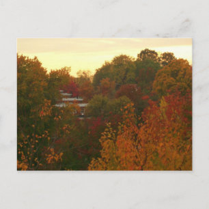 Carte Postale Fall Colors