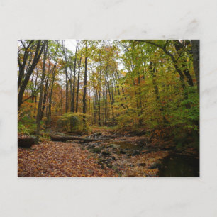 Carte Postale Fall Creek à Laurel Hill State Park Pennsylvanie