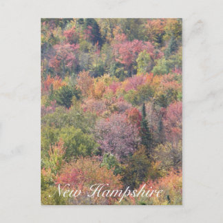 Carte Postale Fall Foliage, Franconia Notch State Park, NH