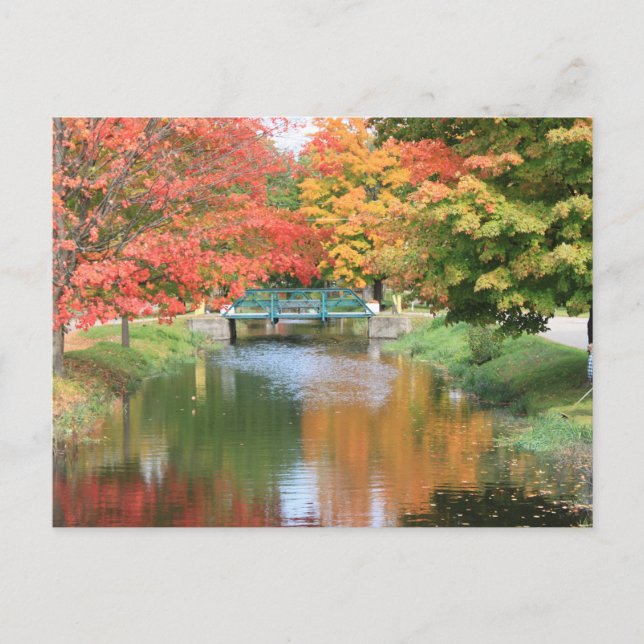 Carte Postale Fall Postcard (Devant)