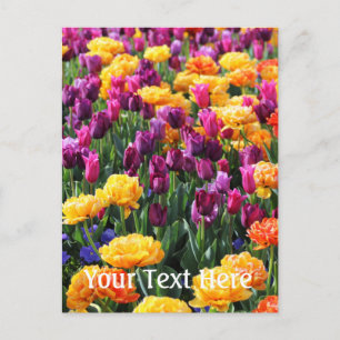 Carte Postale Falln Sunset Floral River