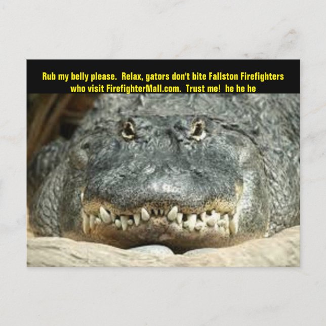 Carte postale Fallston Firefighter (Devant)