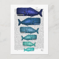 Famille Blue Whale