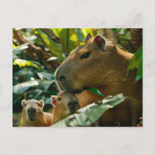 Carte Postale Famille Capybara en habitat tropical