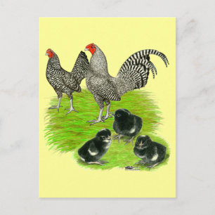 Carte Postale Famille de Bantam barré de vieil anglais