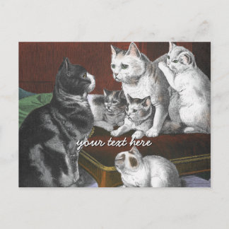Carte Postale Famille de chats vintage