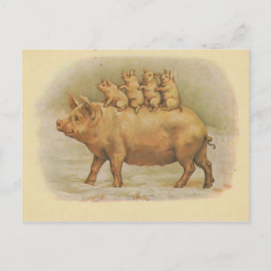 Carte Postale Famille de cochon