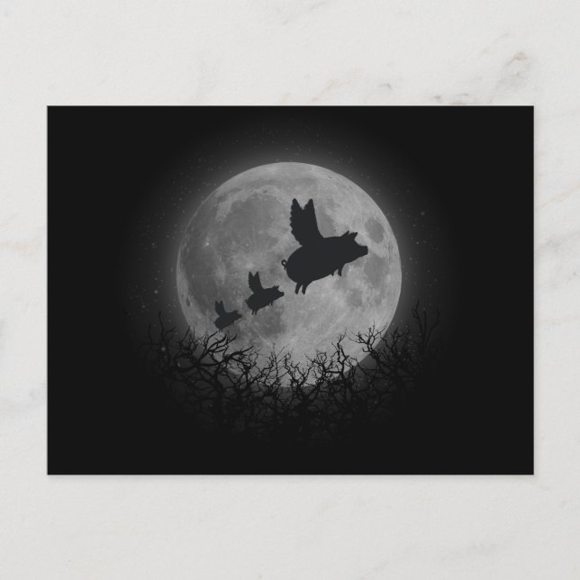 Carte Postale famille de cochons volants nocturnes (Devant)