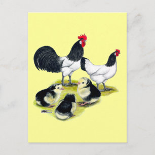 Carte Postale Famille de poules Lakenvelder