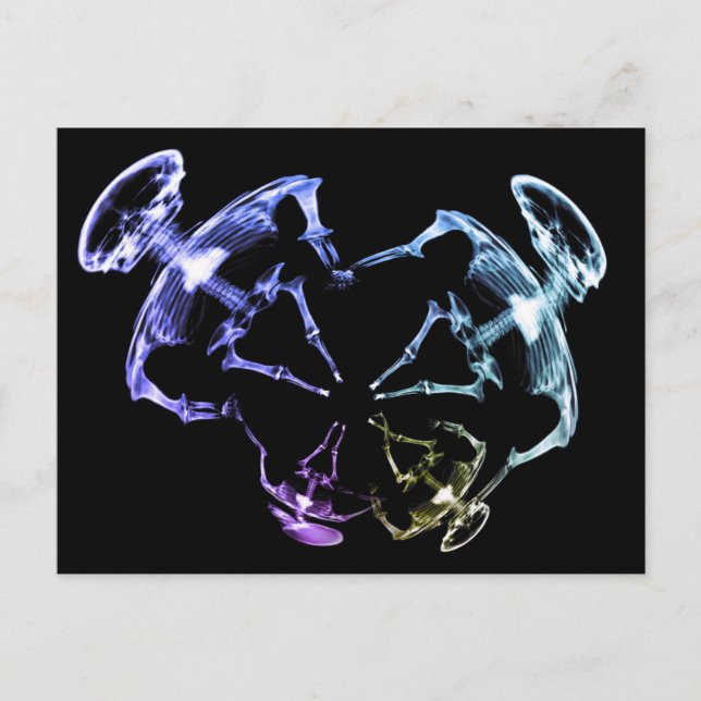 Carte Postale Famille de squelettes à rayons X étirés 2 (Devant)