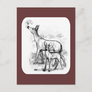 Carte Postale Famille des cerfs