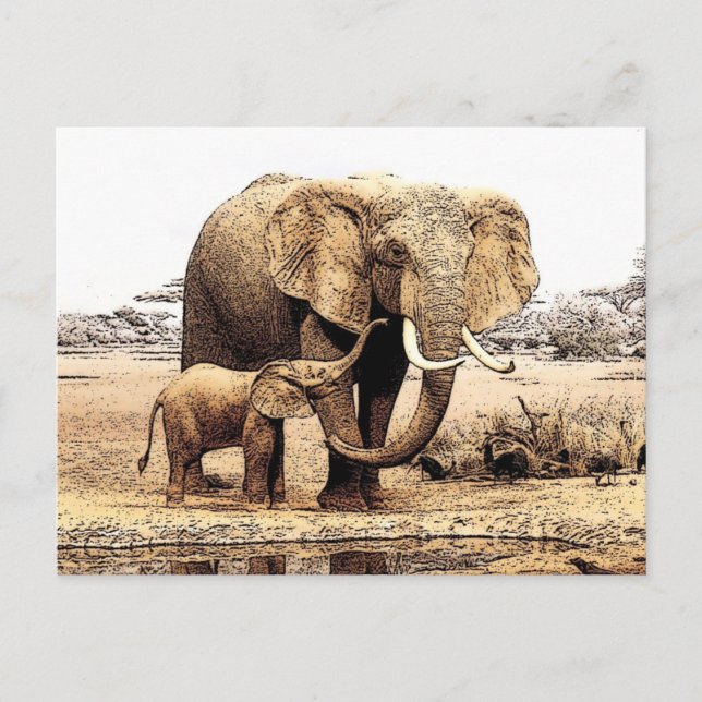 Carte Postale Famille des éléphants (Devant)