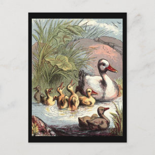 Carte Postale Famille Duck