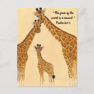 Carte Postale Famille Giraffe - Fruit de Womb