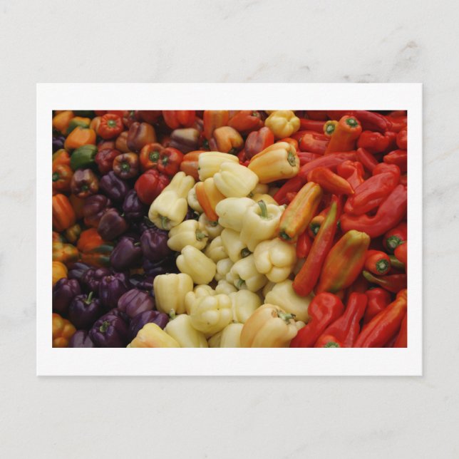 Carte Postale Famille Pepper (Devant)