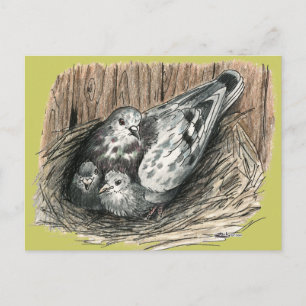Carte Postale Famille Pigeon