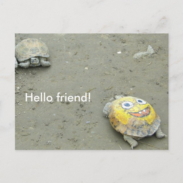Carte Postale Fan de tortue Bob l'éponge (Devant)