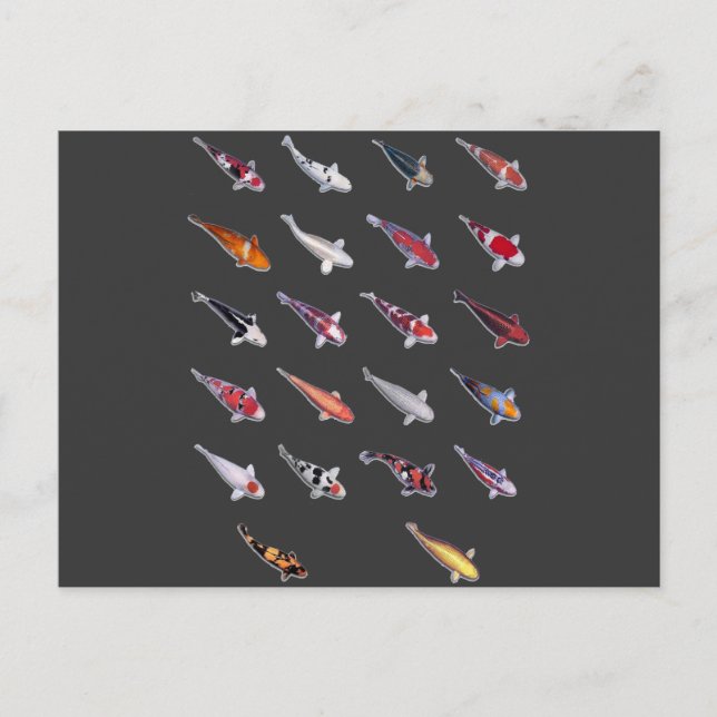 Carte Postale Fanatical à propos de Koi (Devant)