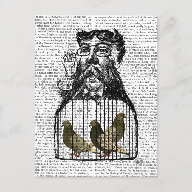 Carte Postale Fancier de pigeon (Devant)