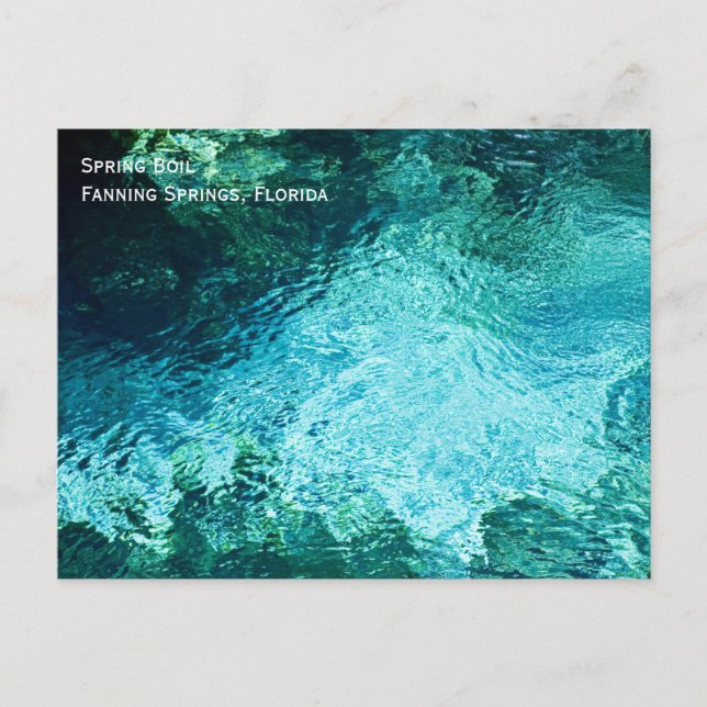 Carte postale Fanning Springs (Devant)