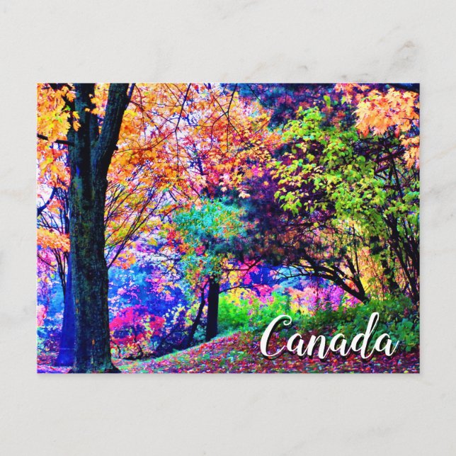 Carte Postale Fantastiques Couleurs Automne Feuilles Arbres Pitt (Devant)
