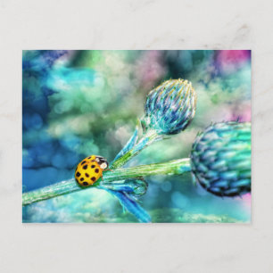 Carte Postale Fantastischer Marienkäfer