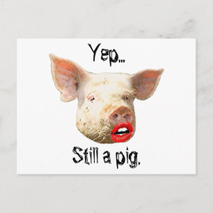 Carte Postale Fard sur un cochon