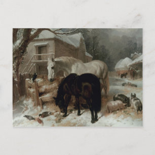 Carte Postale Farmyard