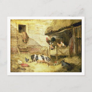 Carte Postale Farmyard