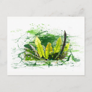 Carte Postale Farn, Blätter, Dschungel, Landschaft, Natur