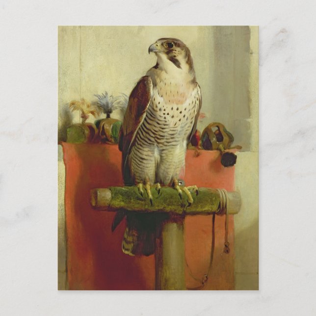 Carte Postale Faucon, 1837 (Devant)