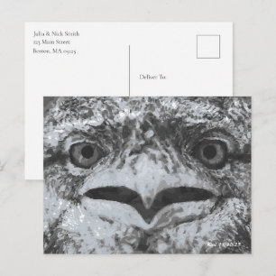Carte Postale Faune australien, le grincheux de la nature, anima