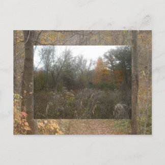 Carte Postale faune d'automne