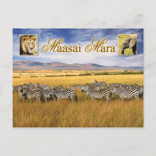Carte Postale Faune de Massai Mara au Kenya