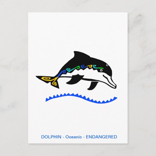 Carte Postale Faune - DOLPHIN - Conservation - Nature - (Devant)