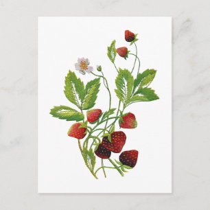 Carte Postale Faux fraises fraîches brodées