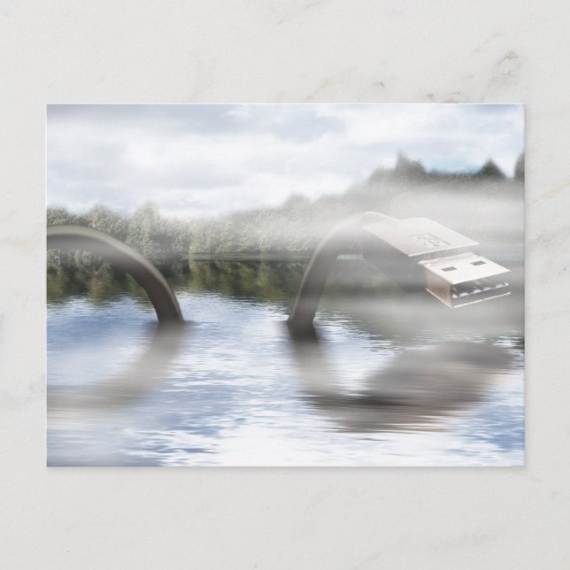 Carte Postale Faux Ness (Devant)