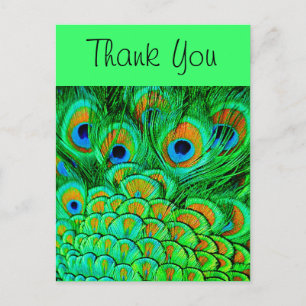 Carte Postale Faux Peacock Plumes Abstrait Motif de la nature