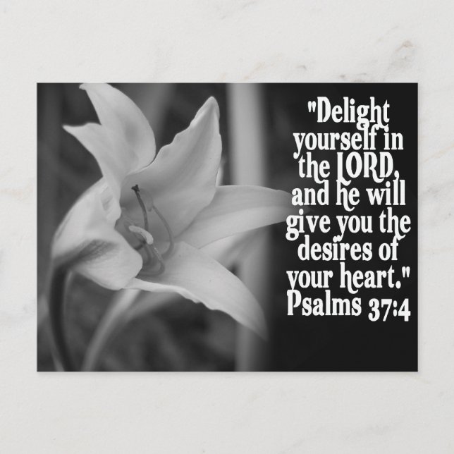 CARTE POSTALE FAVORITE BIBLE SCRIPTURE PSALM 37:4 (Devant)