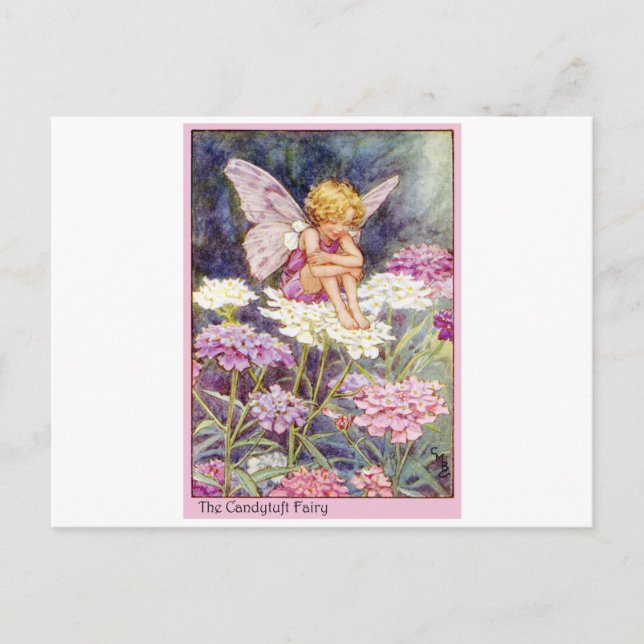 Carte Postale Fée Candytuft (Devant)