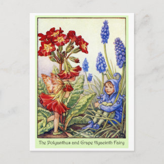 Carte Postale Fée de jacinthe de primevère et de raisin