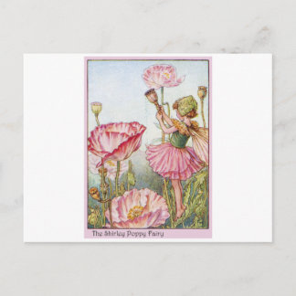 Carte Postale Fée de Shirley Poppy