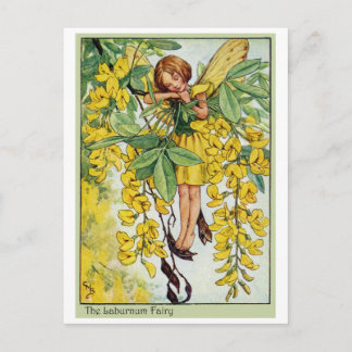 Carte Postale Fée Laburnum