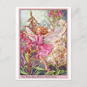 Carte Postale Fée rose-Bay Wilow-Herb