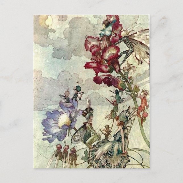 Carte Postale "Fées" (Devant)