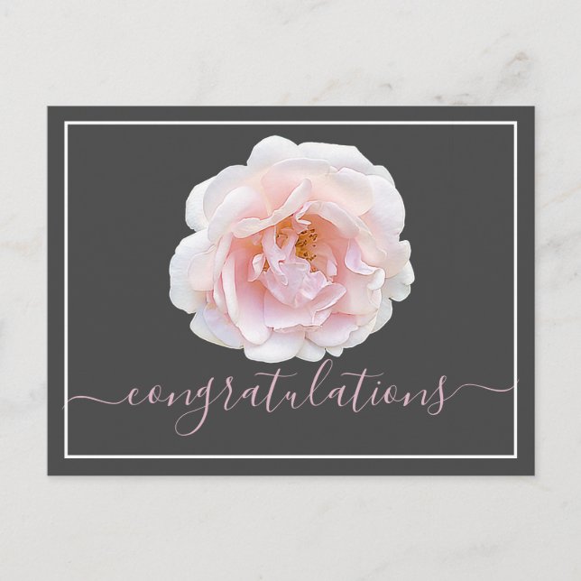 Carte Postale Félicitations à l'Arrière - plan Rose Rose Grey (Devant)