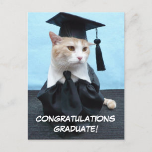 Carte Postale Félicitations au diplômé !