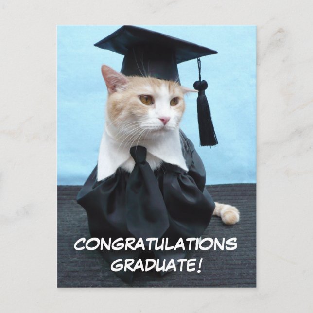 Carte Postale Félicitations au diplômé ! (Devant)