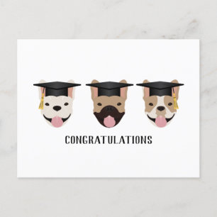 Carte Postale Félicitations Bouledogues Français