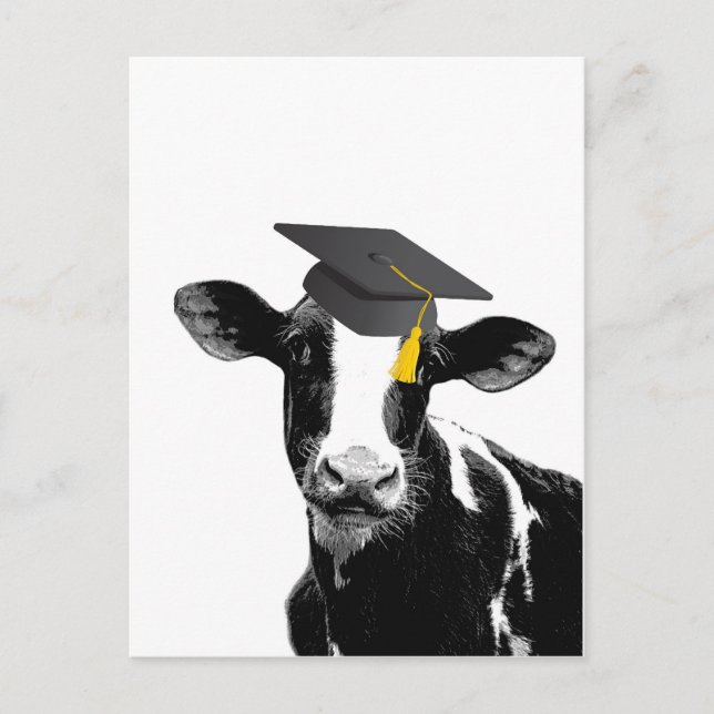 Carte Postale Félicitations Graduation Funny Cow en Casquette (Devant)